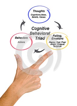 Cognitive Behavioral triad