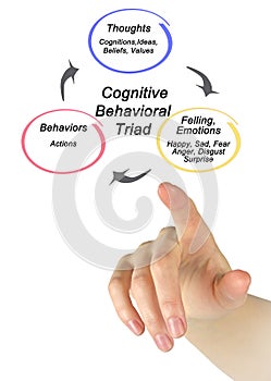 Cognitive Behavioral triad