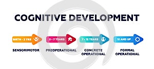 Cognitive development. Intelligence and education process