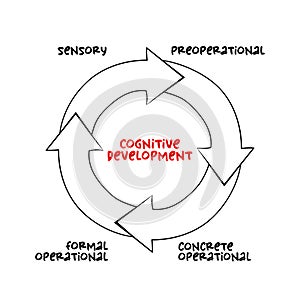 Cognitive Development mind map process, concept for presentations and reports