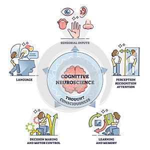 Cognitive neuroscience and thought consciousness processes, outline diagram