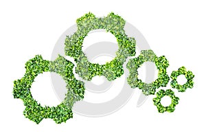 Cogs or gears from green grass