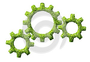 Cogs or gears from the green grass.