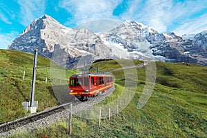 A cogwheel train travels on the railway from Jungfraujoch top of Europe to Kleine Scheidegg on the green grassy hillside