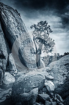 Cohab Canyon is a popular destination in Capitol Reef National Park.