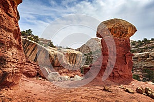Cohab Canyon is a popular destination in Capitol Reef National Park.