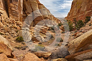 Cohab Canyon Trail, Capitol Reef National Park, Utah.