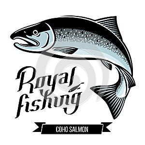 Coho Salmon fish vector illustration