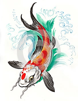 Coi fish in water