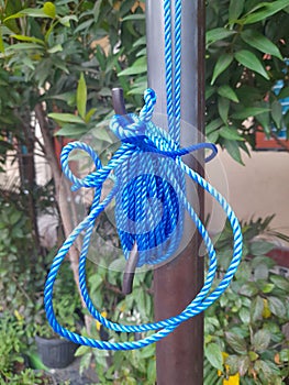 Bobina da blu corda sul albero 