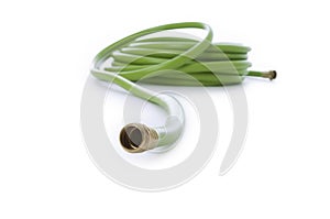 Coiled green garden hose on white background