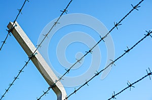 Coiled razor wire with its sharp steel barbs on top of a mesh perimeter fence ensuring safety and security