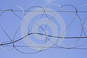 Coiled razor wire with its sharp steel barbs on top of a wire mesh perimeter fence ensuring safety and security preventing access