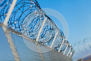 Coiled razor wire on top of a fence