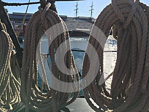 Coiled ropes on sailing ship