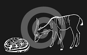 Coiled snake python chasing eland antelope grazing vector illustration isolated.