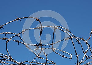 Coiled twisted sharp barbed wire against a bight blue sky