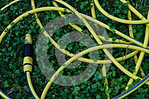 Coiled up on the grass yellow garden hose