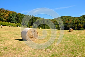 Coils of hay in the field after the grain harvest in Germany.