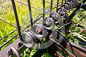 Coils of rake tines on antique iron hay rake