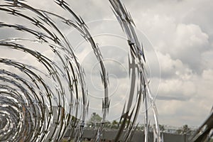 Coils of razor wire on fence