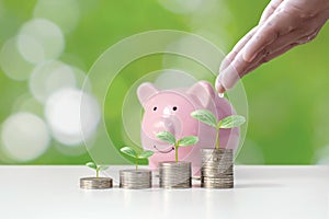 Coin graph shows financial growth and tree planting on coin piles, as well as piggy banks.