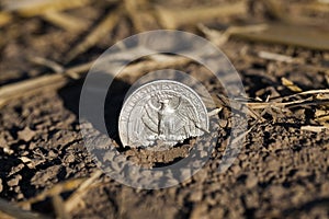 Coin on the ground