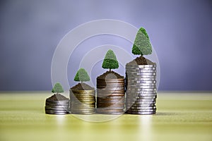 Coin money showing growth chart success concept. Green tree growing on coins. Prosperous stock investment. Savings. Financial