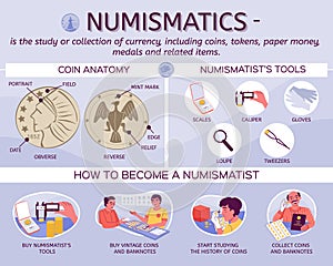 Coin Numismatics Flat Infographics photo