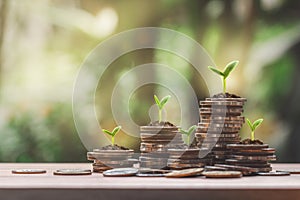 Coin stack growing graph with plant growing on coins and green bokeh background