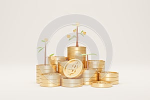 Coin stack growth with tree on white background