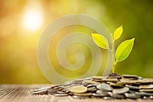 Coin stack with young green sprout on top. Business success, Financial or money growing concept