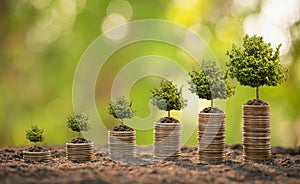 Coin stack with young green sprout on top. Business success, Financial or money growing concept