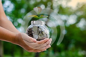 Coin tree Glass Jar Plant growing from coins outside the glass jar money saving and investment financial concept