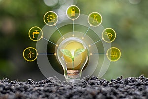 The coin tree growing in energy-saving light bulbs includes energy-saving icons, energy-saving ideas