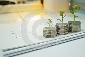 Coin with tree in mutual funds concept.