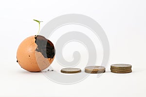 Coins and broken eggshells overgrown with plants.