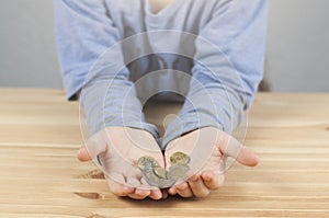 Coins in a child`s hand. The child holds out his hand with money. Saving