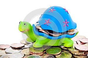 Coins and colorful turtle