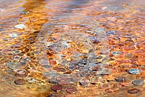 Coins in fountain