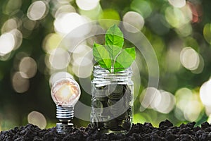 Coins in glass jar with light bulbs young plant on top put on the soil in garden with nature background