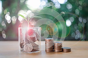 Coins in a glass jar with the small tree on top and coin ladder on table