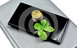 Coins and green leaf on smartphone
