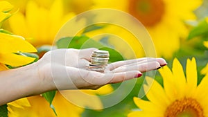 Coins in the hands of a girl in a field with sunflowers