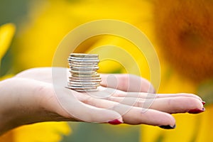 Coins in the hands of a girl in a field with sunflowers