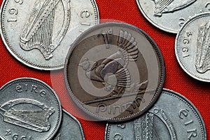 Coins of Ireland. Hen with chickens