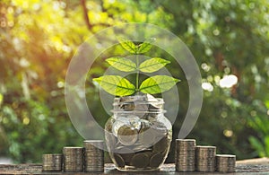 Coins in jar with money stack step growing money, Concept finance business and saving investment.