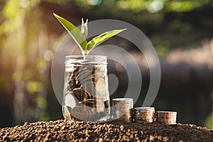 Coins in jar with money stack step growing money, Concept finance business and saving investment.