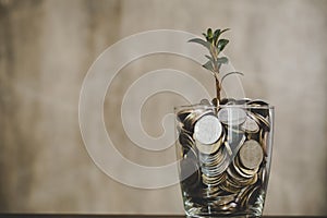 coins in jug glass