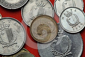 Coins of Malta. Weasel (Mustela nivalis) photo